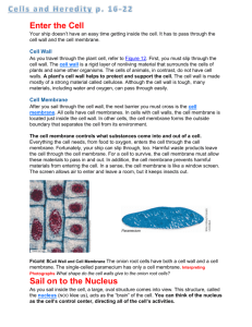 Cells and Heredity p. 16-22