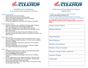Guidelines for conducting a York County Great American Cleanup