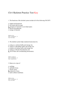 Ch 6 Skeleton Practice Test Key 1. The functions of the skeletal