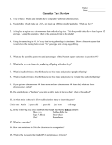 Test Review Sheet for Genetics