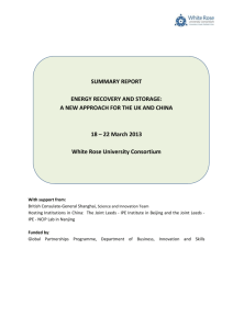 White Rose Summary Report, UK CHINA Energy Storage