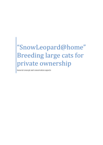 *SnowLeopard@home* Breeding large cats for private ownership