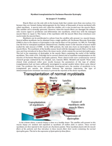 Myoblast transplantation for Duchenne Muscular Dystrophy By