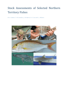 Stock Assessments of Selected Northern Territory Fishes