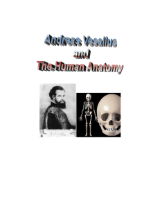 Andreas Vesalius and The Human Anatomy Background Andreas