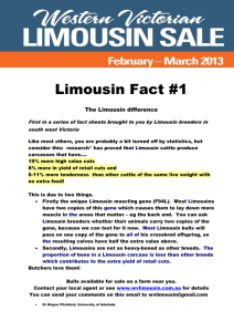Limousin Fact #1 The Limousin difference First in a series of fact