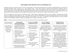 Adult Support Determination Process & Planning Tool