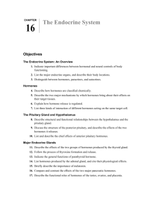 16 The Endocrine System Objectives