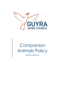 Draft Companion Animals Policy