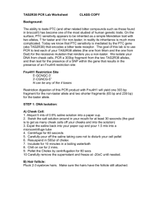 TAS2R38 PCR Lab Worksheet