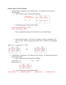 sex linked worksheet answers