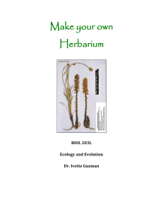 Make your own Herbarium BIOL 203L Ecology and Evolution Dr
