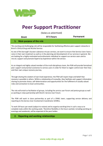 Peer Support Practitioner