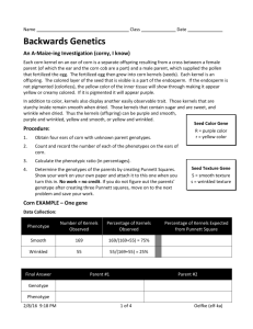 Backwards Genetics