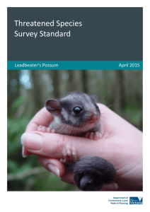 Survey standard for Leadbeater`s possum