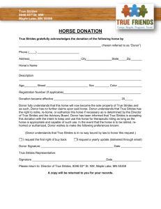 Horse-Donation-Contract