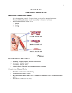 lecture notes skeletal muscle physiology
