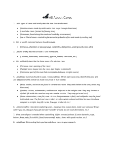 All About Caves Worksheet