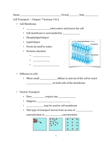 Cell Transport Skeleton Notes