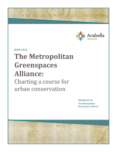 Strategic Plan - Metropolitan Greenspace Alliance