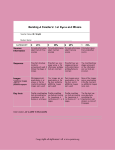 Your Rubric: Building A Structure : Cell Cycle and Mitosis