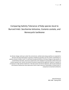 Comparing Salinity Tolerance of Kelp species