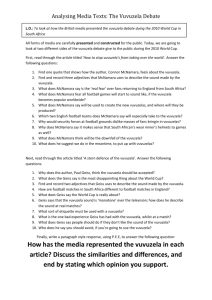 Analysing Media Texts: The Vuvuzela Debate
