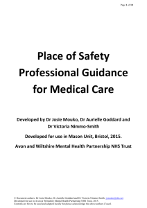 Professional Guidance Place of Safety Document