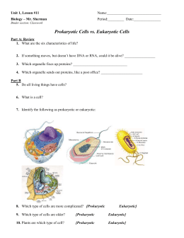 Prokaryote and Eukaryote Worksheet
