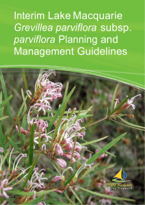 Grevillea parviflora mgmt guidelines