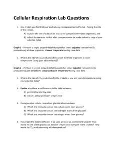 CELLULAR RESPIRATION LAB QUESTIONS