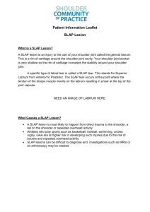 SLAP Lesion Patient Information Leaflet
