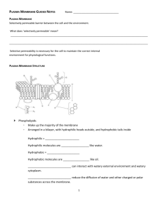 Plasma Membrane Guided Notes