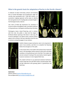 What is the genetic basis for adaptation of barley to the