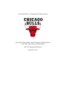 The Chicago Bulls - Michigan Community College Association