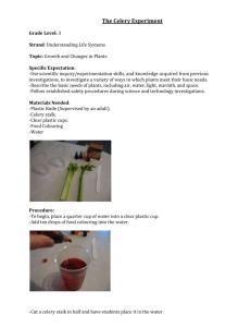 The Celery Experiment