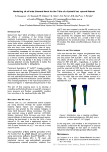 Modelling of a Finite Element Mesh for the Tibia of a Spinal Cord