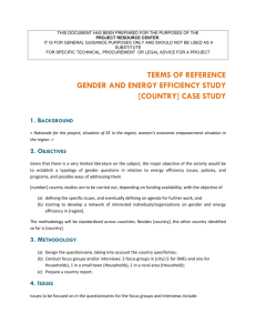 ToR_Gender_and_Energy_Efficiency_Study