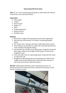 Good student sand salt lab report picture