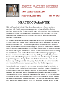 Copy of Health Guarantee - Shull Valley Boxers