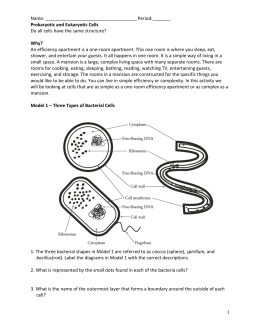 Prokaryotic Eukaryotic Student Practice