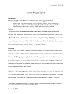 S. Wade Bradt – EME 5603 Learner Analysis Report1 Background: I