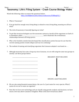 Worksheets Population Dynamics Worksheet ecology 2 population dynamics pdq taxonomy video worksheet