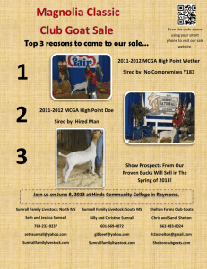 1 2011-2012 MCGA High Point Wether Sired by: No Compromises