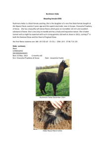Hebe Profile - Rushmere Alpacas