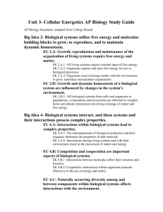 Unit 3- Cellular Energetics AP Biology Study Guide