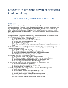 Efficient Movement Patterns in Alpine