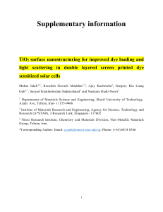 Supplementary information TiO 2 surface nanostructuring for