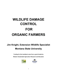 Wildlife Damage Control for Organic Farmers