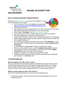 Online Troop Management for Volunteers